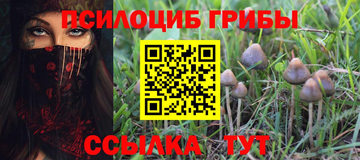 Заречный  Псилоцибиновые грибы прущие грибы  Вход с VPN 