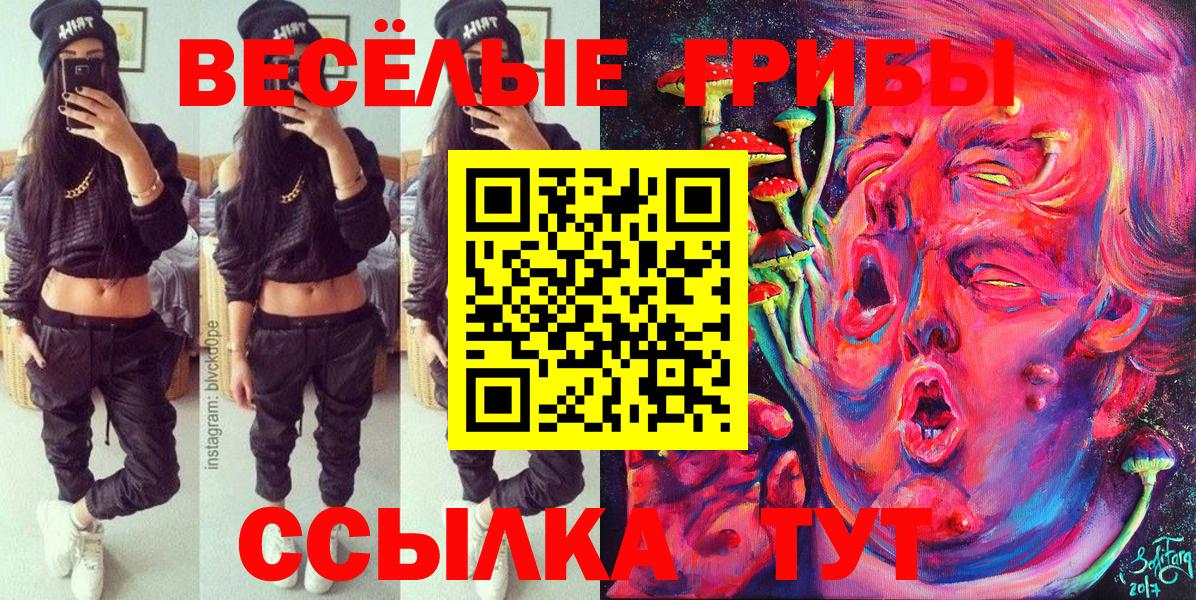 Галлюциногенные грибы Psilocybe Заречный